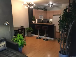 Photo #5: 250034092 Listing