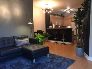 Photo #6: 250034092 Listing