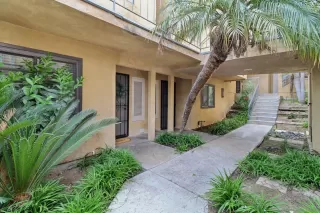 Photo #1: 250034146 Listing 