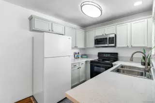 Photo #1: 250034238 Listing