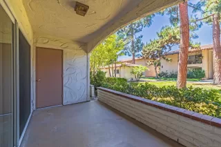 Photo #3: 250034240 Listing