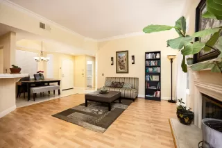 Photo #2: 250034257 Listing