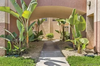 Photo #3: 250034281 Listing