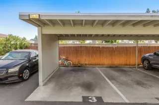 Photo #5: 250034301 Listing 