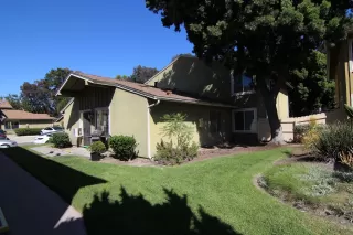 Photo #2: 250034322 Listing