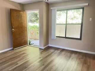 Photo #1: 250034496 Listing 