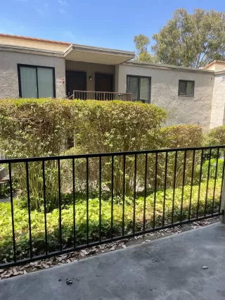 Photo #4: 250034496 Listing 