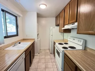 Photo #5: 250034496 Listing 