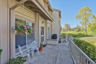 Photo #1: 250034516 Listing