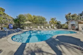 Photo #3: 250034516 Listing