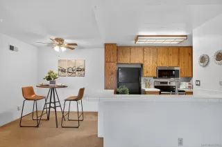 Photo #1: 250034570 Listing 