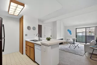 Photo #4: 250034570 Listing 