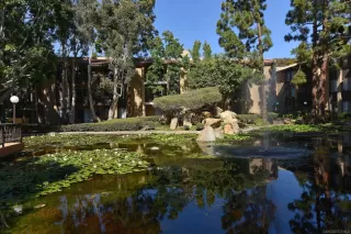 Photo #1: 250034611 Listing