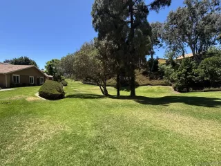 Photo #4: 250034655 Listing 