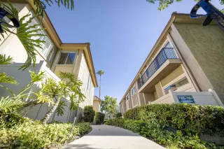 Photo #1: 250034939 Listing 