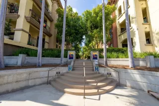 Photo #4: 250034977 Listing