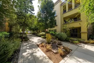 Photo #5: 250034977 Listing