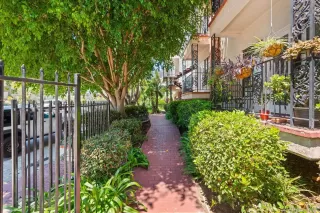 Photo #1: 250035007 Listing