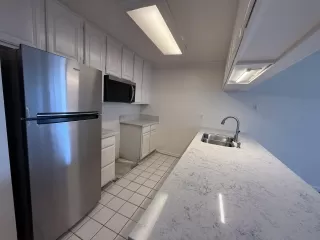 Photo #1: 250035023 Listing 