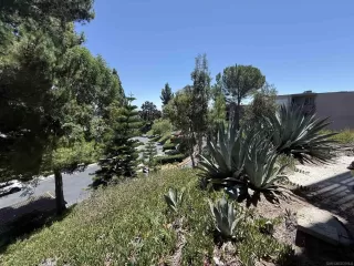 Photo #3: 250035023 Listing 