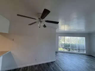 Photo #5: 250035023 Listing 