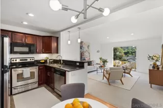 Photo #1: 250035109 Listing 