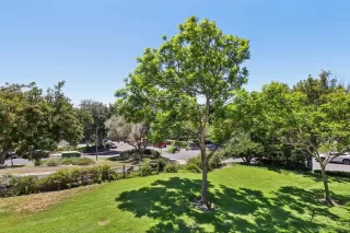 Photo #5: 250035112 Listing