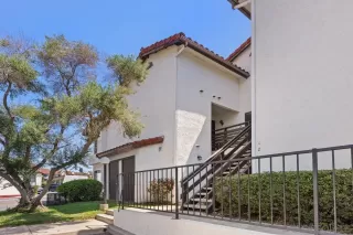 Photo #1: 250035157 Listing 