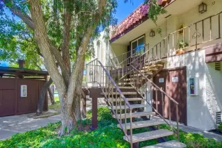 Photo #6: 250035177 Listing