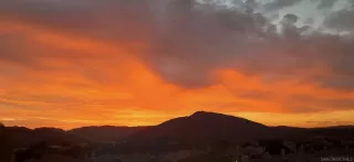 Photo #2: 250035180 Listing 