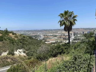 Photo #1: 250035268 Listing 