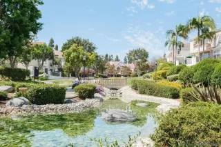 Photo #1: 250035299 Listing