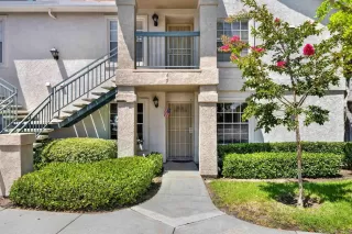 Photo #1: 250035309 Listing 