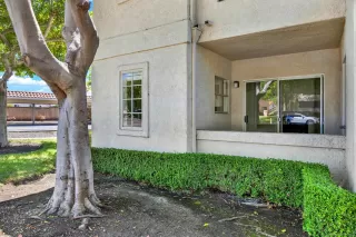 Photo #5: 250035309 Listing 