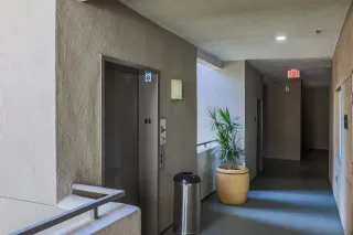 Photo #5: 250035506 Listing 