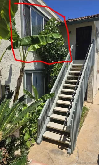 Photo #1: 250035581 Listing 