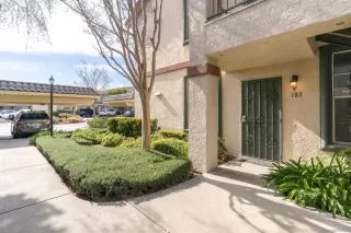 Photo #1: 250035624 Listing 