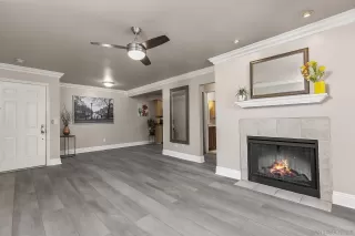 Photo #1: 250035656 Listing