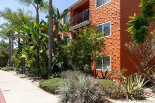 Photo #3: 250035656 Listing