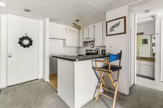 Photo #4: 250035726 Listing 