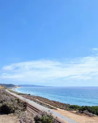 Photo #3: 250035757 Listing 