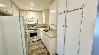 Photo #5: 250035763 Listing