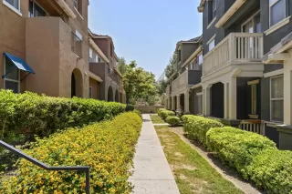 Photo #1: 250035781 Listing 