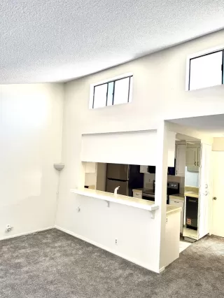 Photo #5: 250035849 Listing