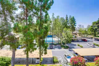 Photo #6: 250035941 Listing