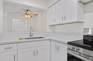 Photo #4: 250035976 Listing 