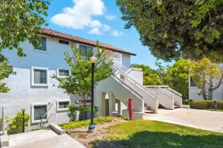 Photo #5: 250036085 Listing 