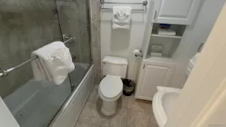 Photo #5: 250036139 Listing 