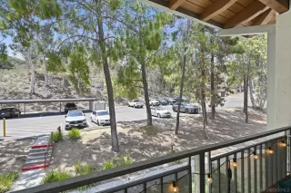 Photo #4: 250036220 Listing