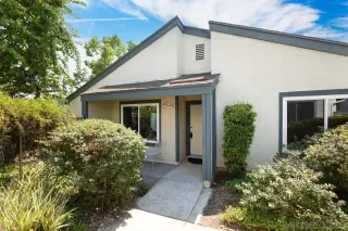 Photo #1: 250036242 Listing 